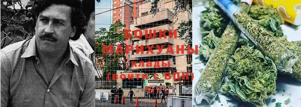 сатива Покров