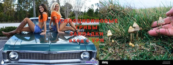 марки nbome Покровск