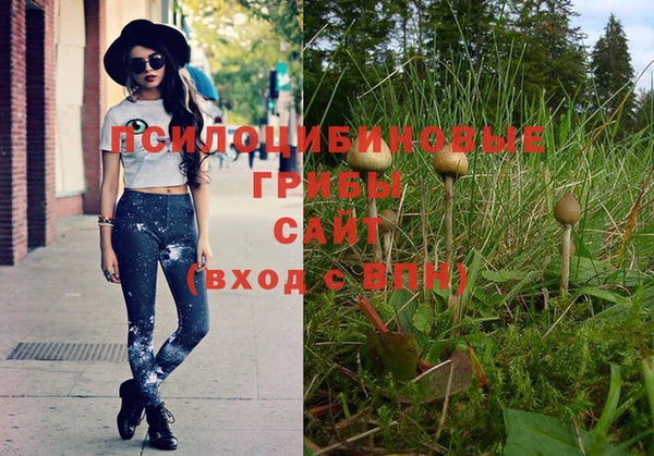 гашишное масло Покачи