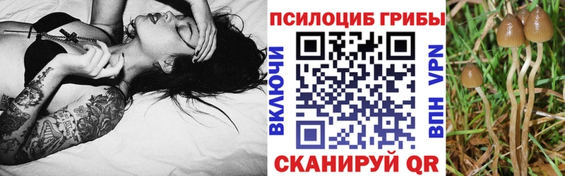 Купить закладки  Абакан  Псилоцибиновые грибы ЛСД 